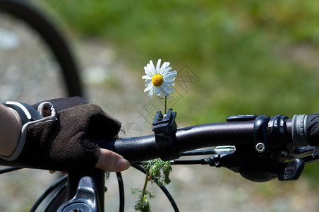 女人自行车上的花图片