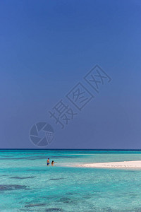 享受蜜月假的旅游者白沙卡西比海水图片