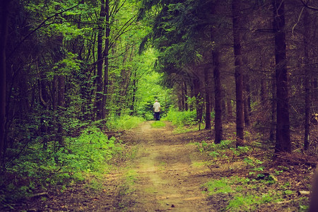 漫步在森林中照片带图片