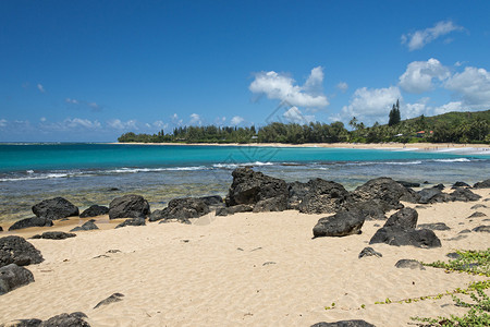 天夏威夷海滩全景中的海浪图片