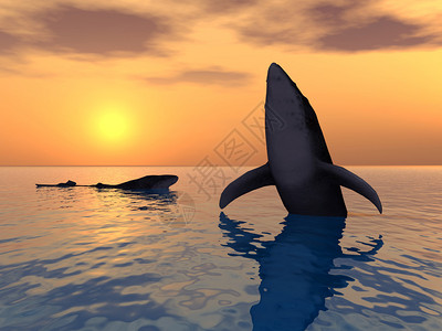 计算机生成的跳鲸3D插图图片
