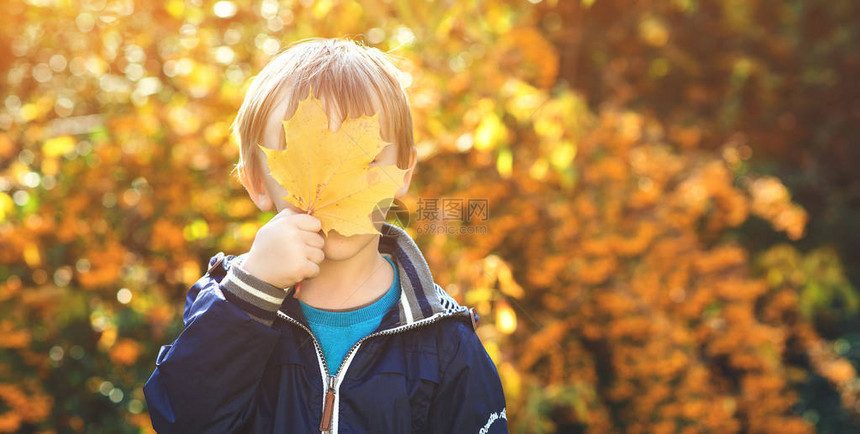 有趣的孩子在秋季公园玩耍小男孩把眼睛藏在枫叶后面快乐的童年秋天的时候孩子在大自然中玩秋叶图片