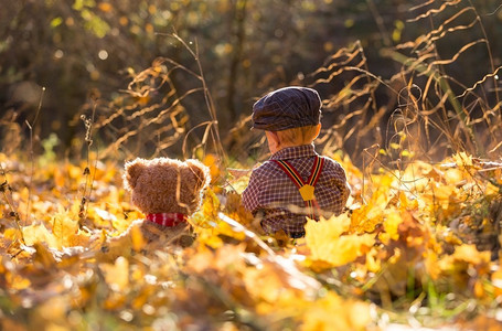 小男孩在秋天森林玩耍图片