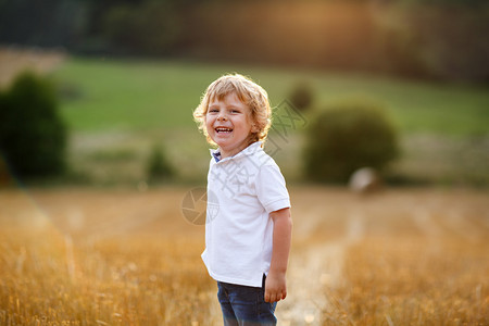 3岁的可爱小男孩夏天在黄干草田玩得开心图片
