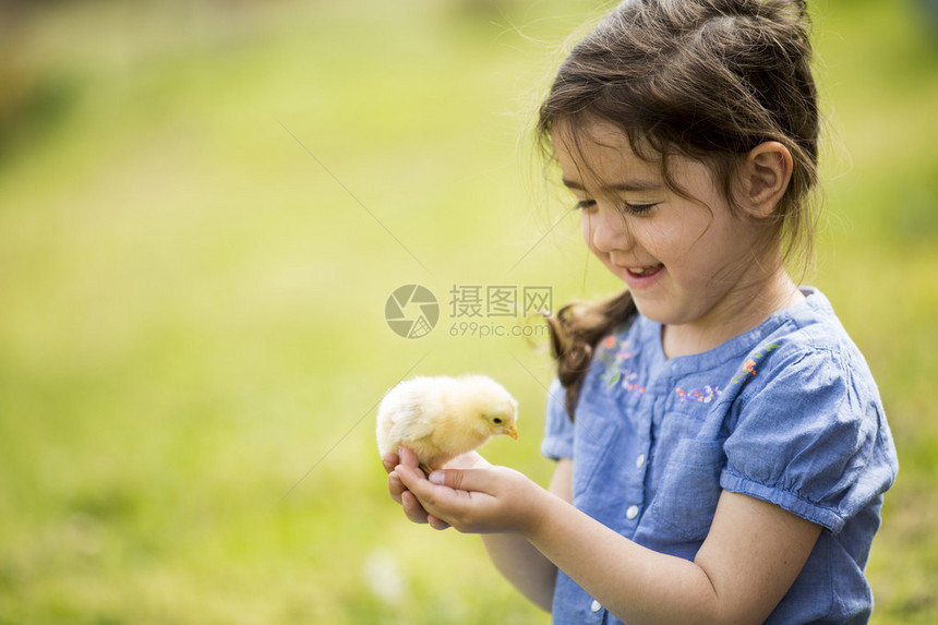 可爱的女孩与鸡图片