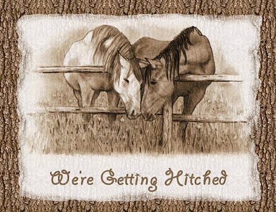 卡瓦尼我画了两匹马的铅笔在栅栏上晃来去上面写着我插画