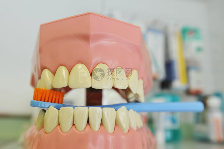 刷牙塑料假牙医用来教你如何刷牙图片