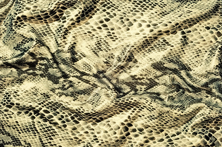 蛇皮织物纹理图片