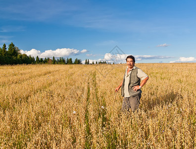 成熟农民对耕种田地和小麦的照顾感到满意图片
