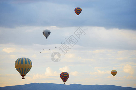 热气球和飞过山的鸟儿图片