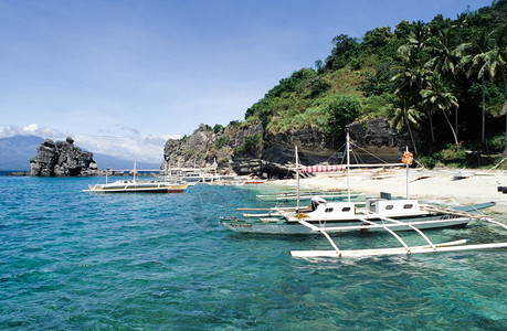 Apo岛海滩菲律宾有传统船只图片