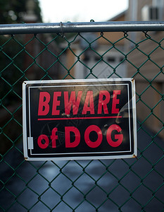 当心门上的狗标志图片