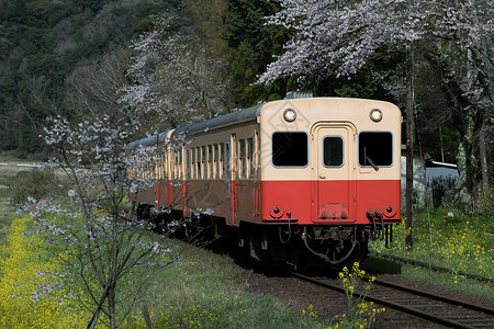 日本千叶县的火车图片