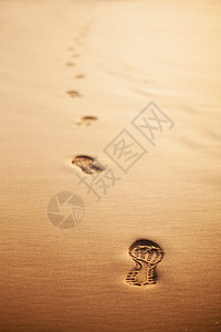 日落时沙滩上人类足迹的轨迹图片