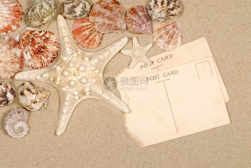 与明信片贝壳和海星的海滨背景图片