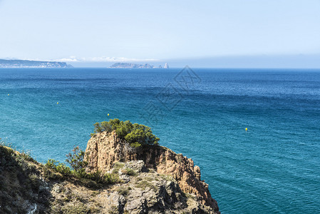 西班牙加泰罗尼亚赫罗纳布拉瓦海岸背景中的米图片