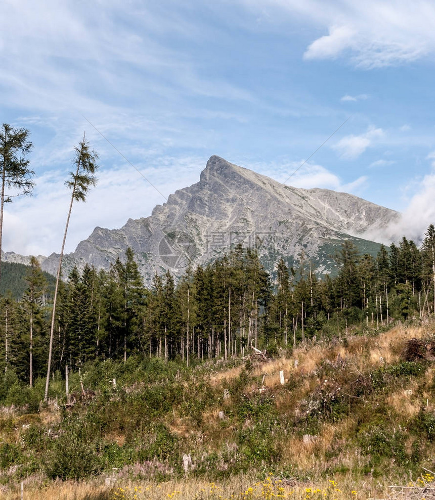 斯洛伐克高塔特拉山脉Podbanske度假胜地附近蒂恰多利纳谷TichaDolina山峰的K图片