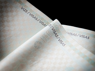 关闭护照签证的空白页面请查看InfoFin图片