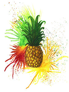 菠萝在多色飞溅的背景下用水彩画图片