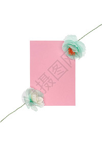 装饰手工制作的花朵白纸空白卡单独图片