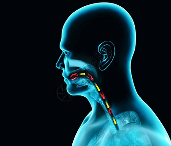 酸碱度吞咽困难咽部和食管吞咽困难口语阶段的路径设计图片