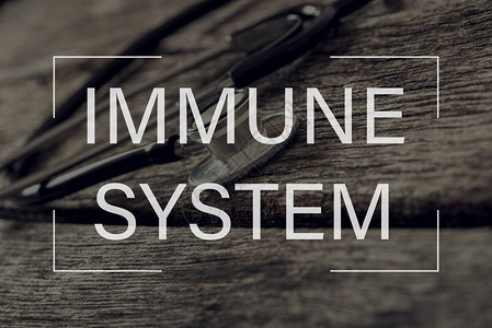 透视镜上的免疫系统文本有黑色管子放图片