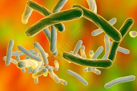 菌血症微生物学病毒高清图片