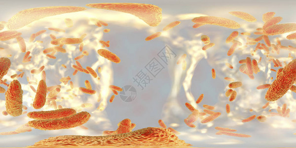 Klebsiella抗生素抗药细菌Klebsiella的生物胶图片
