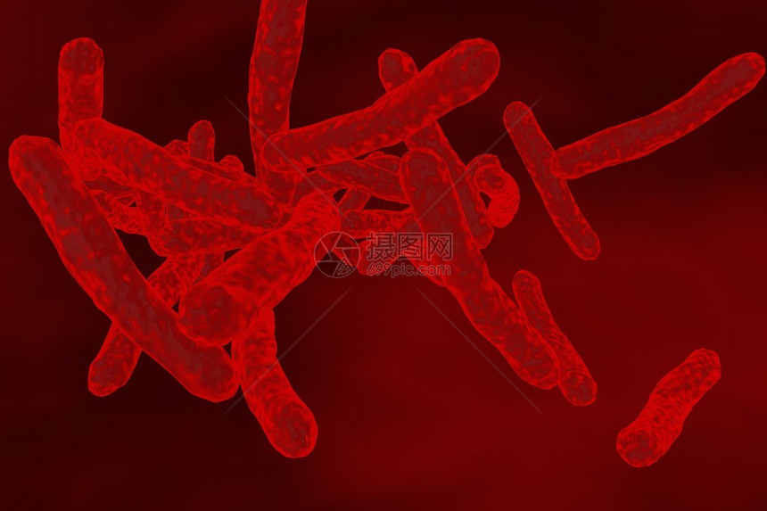结核分枝杆菌的显微镜观察细菌模型微生物棒状细菌引起结核病的细图片