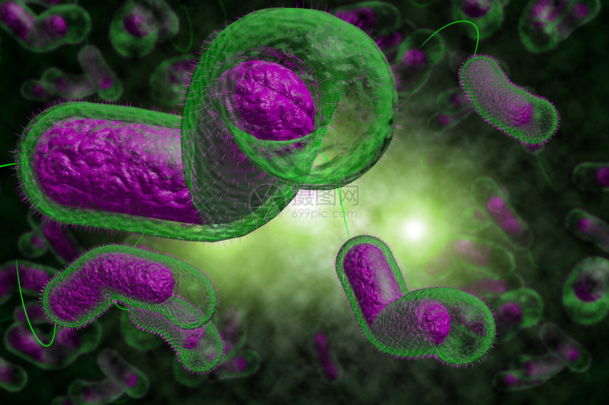 3D近距离说明微生物霍乱菌感染情况图片
