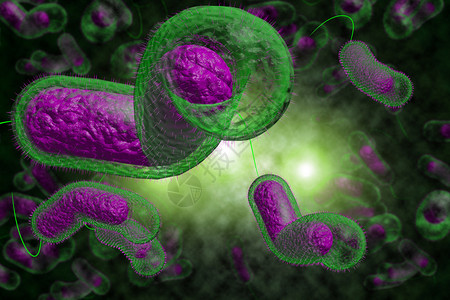 3D近距离说明微生物霍乱菌感染情况高清图片