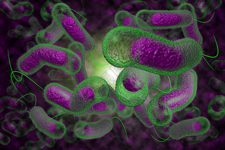 霍乱弧菌3D近距离说明微生物霍乱菌感染情况背景