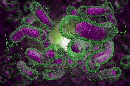 3D近距离说明微生物霍乱菌感染情况高清图片