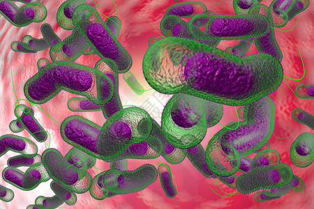 3D近距离说明微生物霍乱菌感染情况高清图片