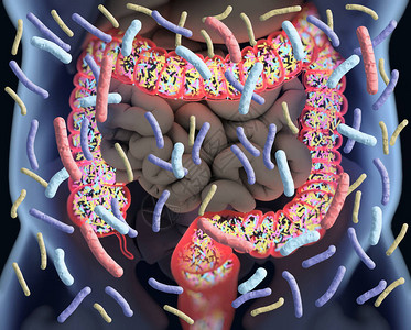 细菌学肠道细菌设计图片