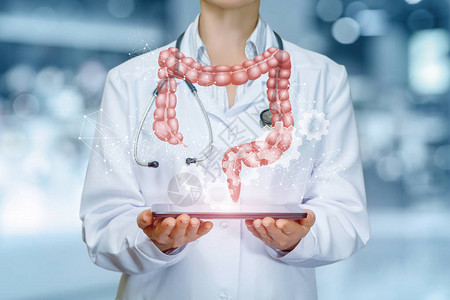 肠子模型挂在医院生手上的仪器上图片