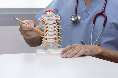 医生用铅笔在医务室展示人工体宫颈脊椎图片