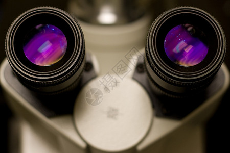 显微镜眼片图片