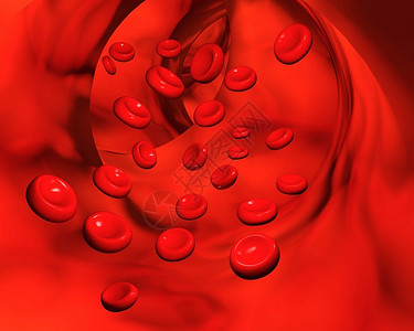 动脉细节和红细胞图片