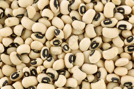 干黑眼豆豆的背景图片