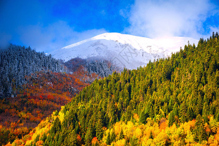 秋冬和秋天的相遇地点是自然与自然图片