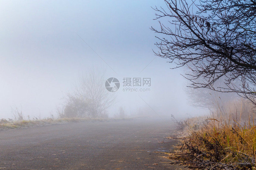 进入雾的农村秋天路图片
