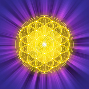 紫色光线上闪亮的生命金花精神象征和神圣几何自古以来就图片
