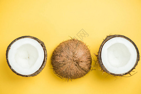 椰子创意食品平面布局图片