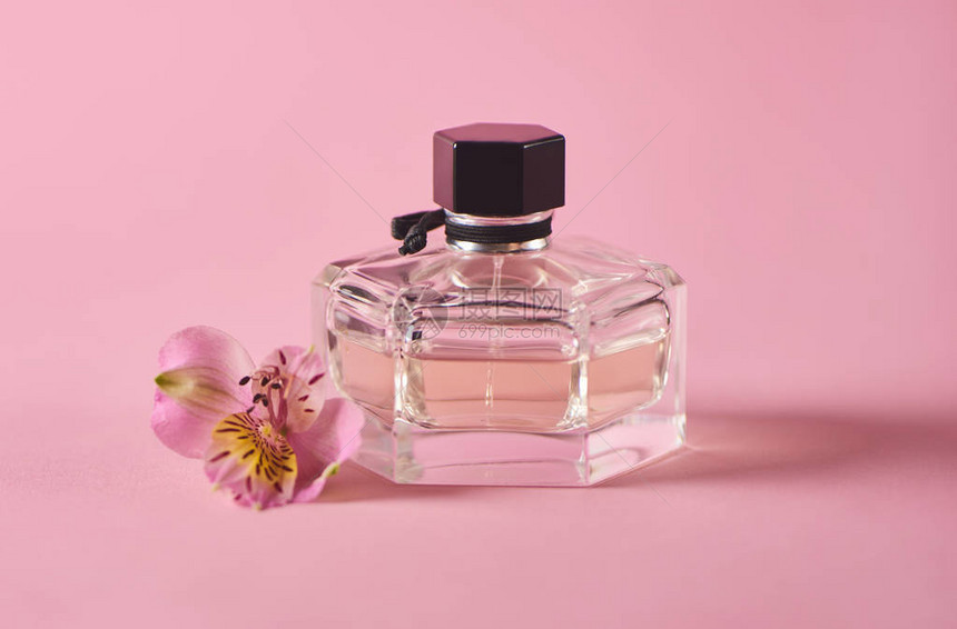 粉红色背景上带有香水和新鲜粉红色花朵的瓶子最小的概念图片