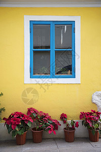 澳门凼仔葡萄牙风格彩色窗户图片