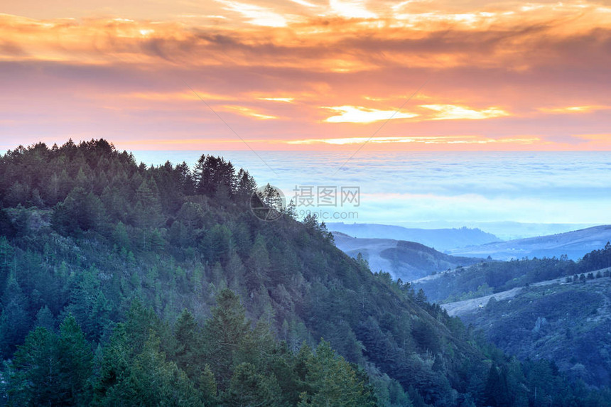 圣克鲁斯山脉有雾的太平洋上空充满活力美国加利福尼亚州圣马特奥县伍德赛的PurisimaCreekRe图片