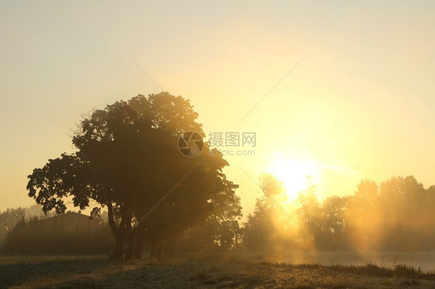 秋天雾蒙的早晨草地上的日出图片