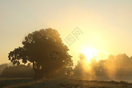 秋天雾蒙的早晨草地上的日出图片
