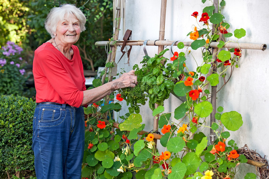 快乐的老年健康女人在花园图片